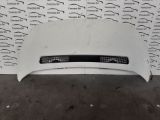 Bild von Cofano Anteriore FIAT SCUDO 