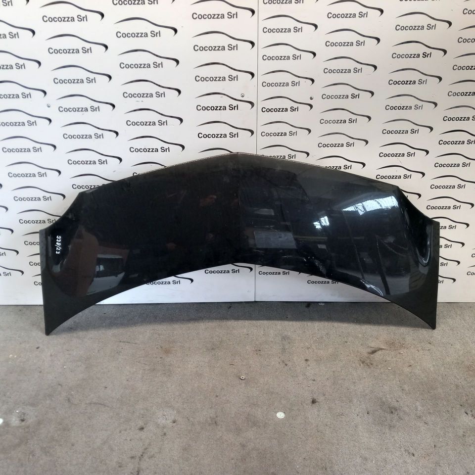 Immagine di Cofano Anteriore Renault Modus