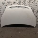 Bild von Cofano anteriore CITROEN XSARA PICASSO 