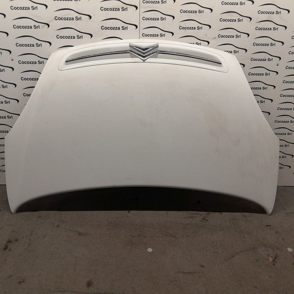 Bild von Cofano anteriore CITROEN XSARA PICASSO 