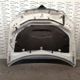 Bild von COFANO ANTERIORE LANCIA FLAVIA C+C