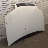 Immagine di COFANO ANTERIORE FIAT PUNTO