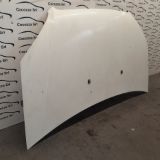 Immagine di COFANO ANTERIORE FIAT DOBLO' CARGO