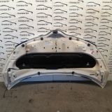 Immagine di COFANO ANTERIORE TOYOTA URBAN CRUISER