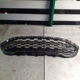 Immagine di MASCHERINA ANTERIORE FORD FISTA ST LINE