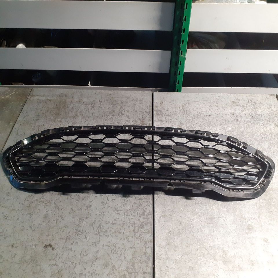 Immagine di MASCHERINA ANTERIORE FORD FISTA ST LINE