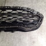 Immagine di MASCHERINA ANTERIORE FORD FISTA ST LINE