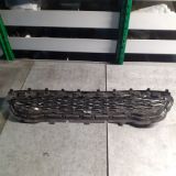 Immagine di MASCHERINA ANTERIORE FORD FISTA ST LINE