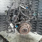 Immagine di MOTORE FORD FOCUS 1.6 BENZINA *HXDA*