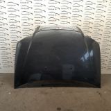 Bild von COFANO ANTERIORE FIAT PUNTO  (2U)