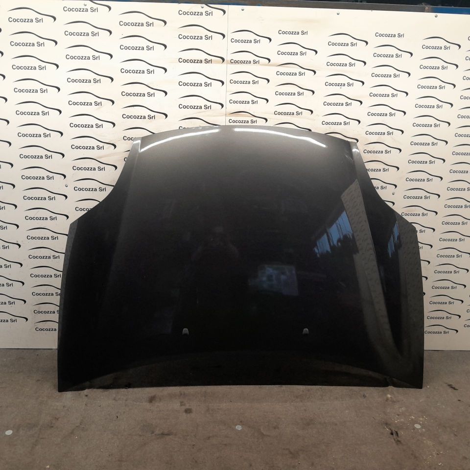 Immagine di COFANO ANTERIORE FIAT BRAVO (3Y)