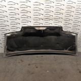 Immagine di COFANO ANTERIORE FIAT DUCATO (PE)