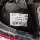 Immagine di Fanale posteriore destro Fiat Panda