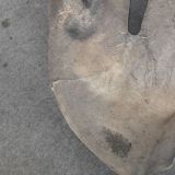 Immagine di PARAURTI POSTERIORE DOPPIO SCARICO  FIAT 500  (3P)