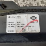 Immagine di Griglia sottoparabrezza Nissan Juke