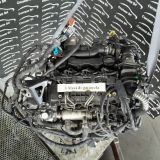 Immagine di MOTORE FORD FOCUS (CB4) 1.6 TDCI *G8DB*