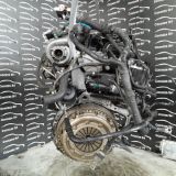 Immagine di MOTORE FORD FOCUS (CB4) 1.6 TDCI *G8DB*