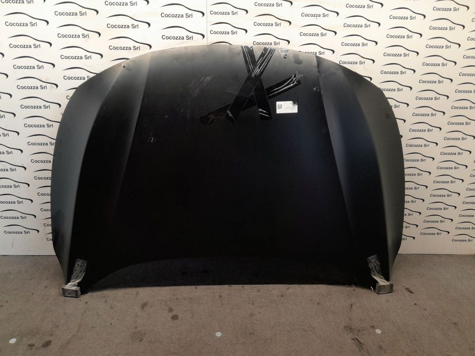 Immagine di COFANO ANTERIORE FORD FOCUS (CGE)