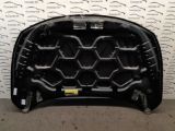 Immagine di COFANO ANTERIORE FORD FOCUS (CGE)