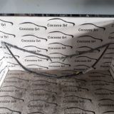 Immagine di Cornice scudo anteriore Lancia Ypsilon (TK)