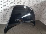 Immagine di COFANO ANTERIORE VOLKSWAGEN NEW BEETLE dal '99 in poi.