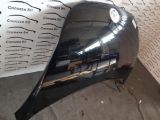 Immagine di COFANO ANTERIORE VOLKSWAGEN NEW BEETLE dal '99 in poi.