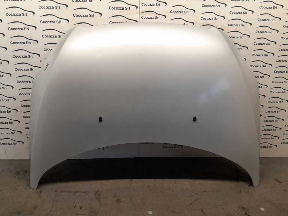 Immagine di COFANO ANTERIORE PEUGEOT 307