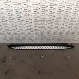 Immagine di PEDANA LATERALE DESTRA MERCEDES BENZ CLASSE M (W164)