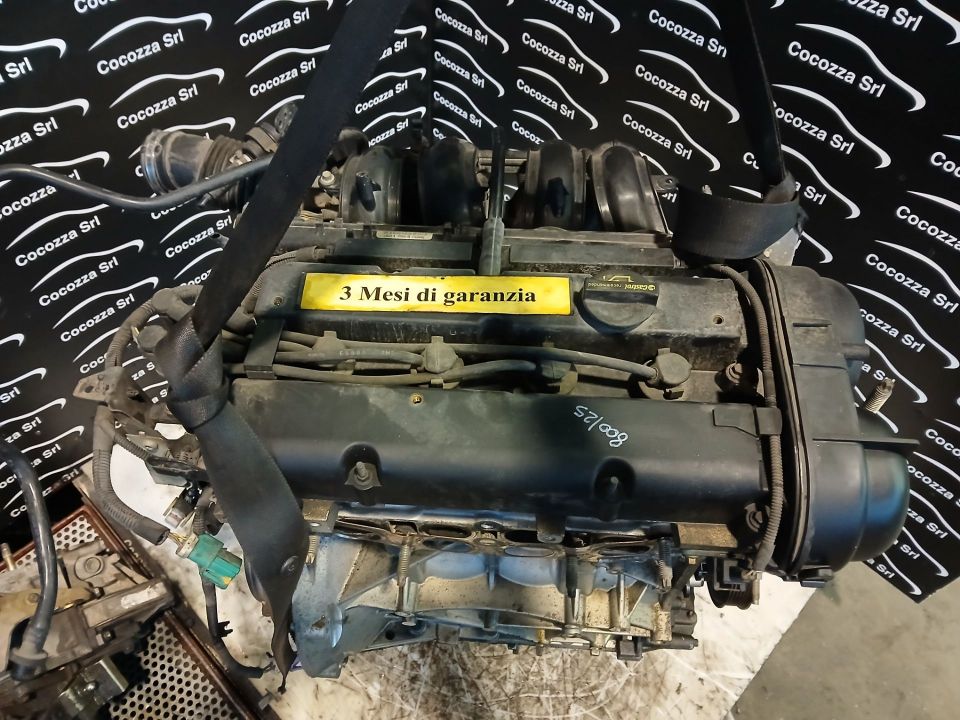 Immagine di MOTORE FORD FIESTA 1.2 16V  BENZINA *STJB*