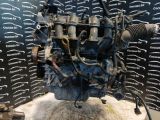 Immagine di MOTORE FORD FIESTA 1.2 16V  BENZINA *STJB*